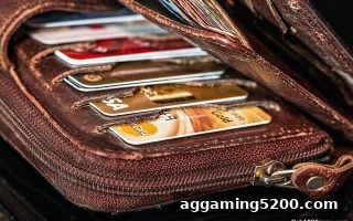 捕鱼达人千炮版玩家必读：新濠天地银行卡入金审核全攻略