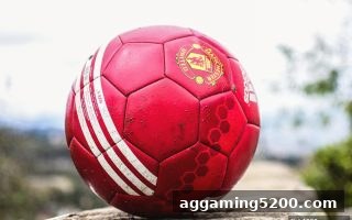 捕鱼达人千炮版教你玩转号码频率分析：从冷热号到选号策略