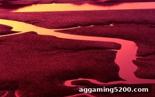 福利彩票微信支付购彩指南：捕鱼达人千炮版带你解锁安全投注新姿势
