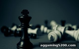 捕鱼达人千炮版教你桥牌术语：零基础到高手的通关秘籍