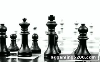 捕鱼达人千炮版玩家必读：桥牌配合默契与团队策略的实战解密