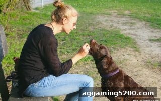 2026捕鱼达人千炮版玩家福利：Evolution真人平台老客户返水政策与最新入口指南