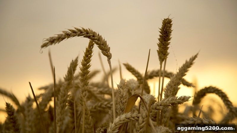 捕鱼达人千炮版：为何这类游戏正悄然变身社交新宠