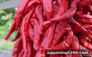 捕鱼达人千炮版免费旋转机制深度剖析：玩家期待与平台信誉的平衡之道