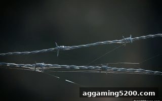 乐鱼体育提醒：警惕网络娱乐骗局——捕鱼达人千炮版玩家的防骗指南