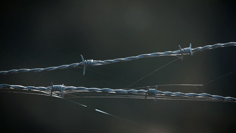 乐鱼体育提醒：警惕网络娱乐骗局——捕鱼达人千炮版玩家的防骗指南